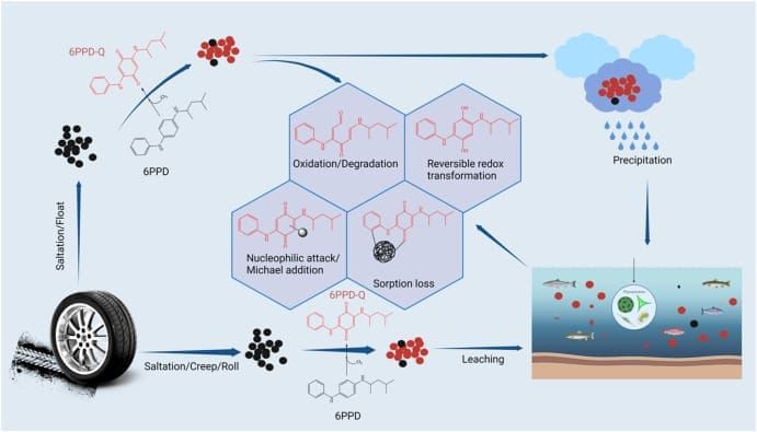 Img4215 | ยางรถยนต์ ราคาอัปเดต 2026 ครบทุกยี่ห้อ รวมยาง Ev | Autotirechecking Diagram of the environmental fate of tire-wear chemical 6PPD: sorption to particulates, oxidation and reversible redox transformations, sorption loss, leaching, and precipitation with aquatic exposure shown in water.