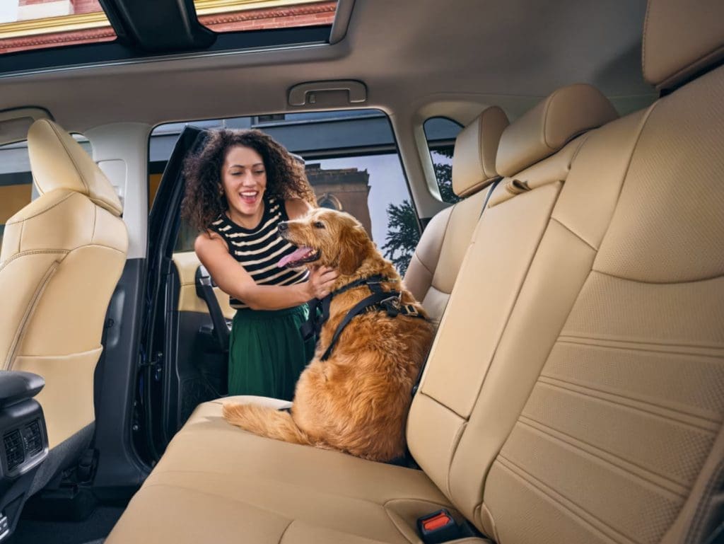 Toyota Rav47 | ยางรถยนต์ ราคาอัปเดต 2026 ครบทุกยี่ห้อ รวมยาง Ev | Autotirechecking